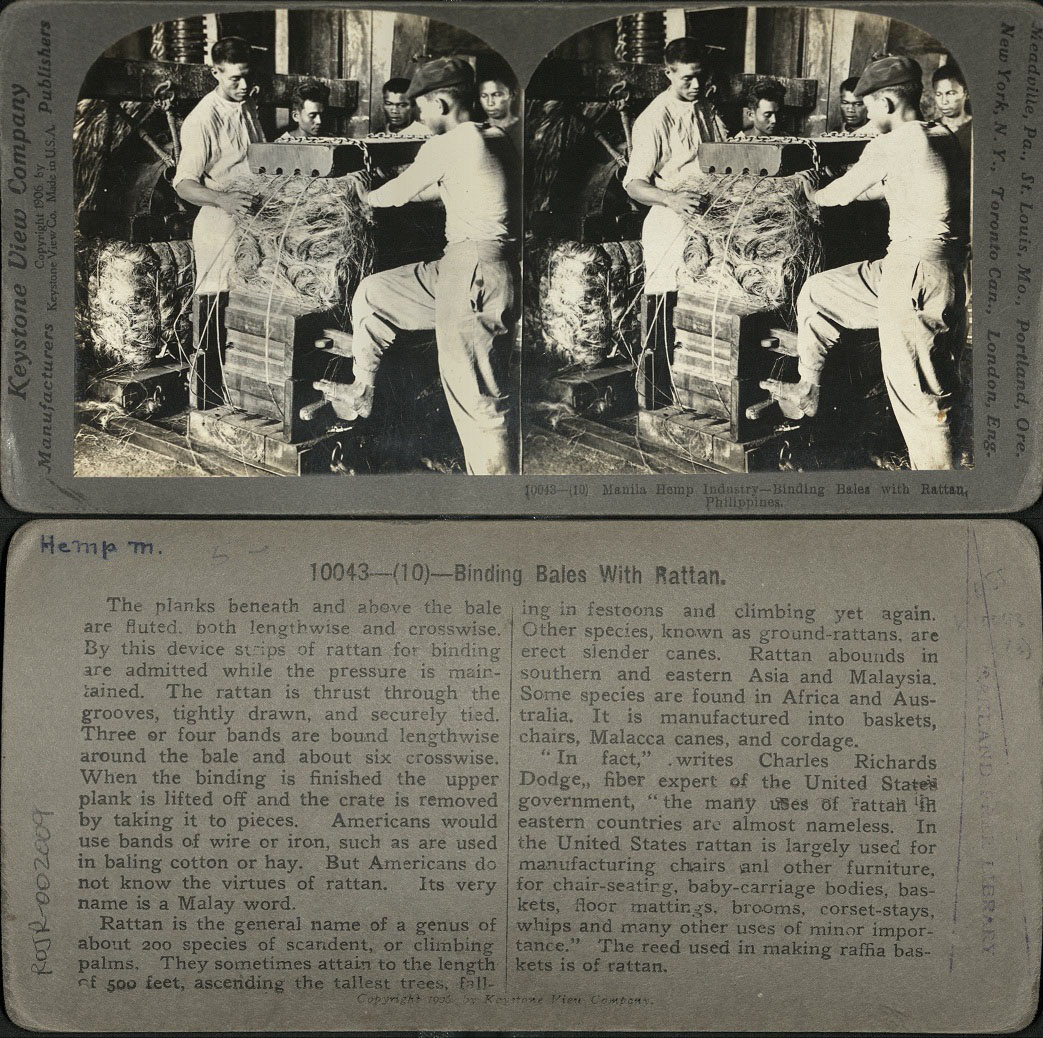 Manila Hemp Industry – Binding Bales with Rattan.